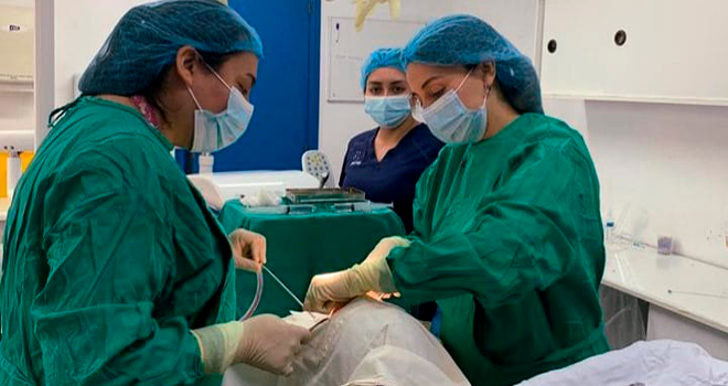 En Chiloé se realizó operativo médico para pacientes de listas de espera
