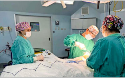 Combinando labor pública y privada, se atendió a más de 30 mil pacientes en lista de espera