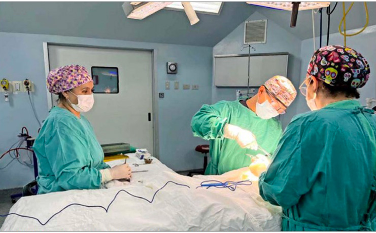 Combinando labor pública y privada, se atendió a más de 30 mil pacientes en lista de espera